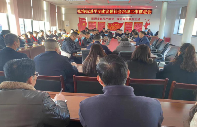 张湾街道开展平安建设暨社会治理工作推进会