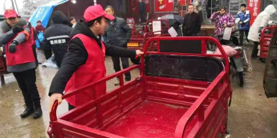 “一抹志愿红”温暖寒冬