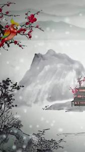 小寒表示：还没冷到极致