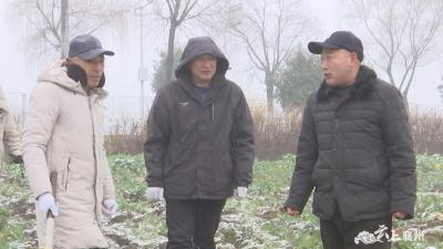 农技专家进田间 助农应对雨雪天
