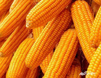 襄州区获得2022年农产品进口关税配额2268吨