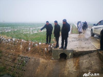 全力推进高标准农田建设项目 人大代表在行动