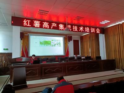峪山镇组织开展红薯高产集成技术培训会