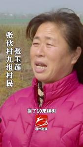 襄州区伙牌镇： 完成绿化面积2000多亩，为推进生态襄州建设提供借鉴样板