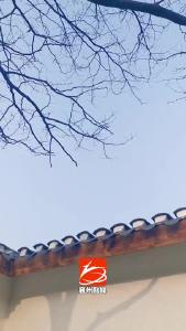 襄州区峪山镇：修复红26师旧址 见证红色峥嵘岁月