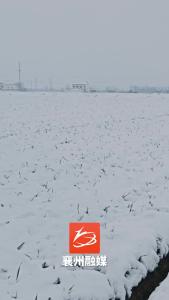 瑞雪兆丰年，五谷登丰收