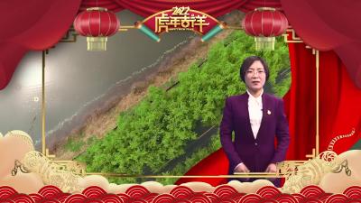 农业明星镇，都市农业园，秀美张家集镇欢迎您！