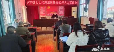 龙王镇召开人大代表培训暨2022年人大工作会