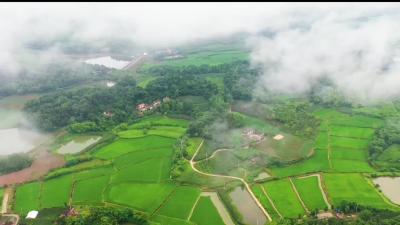 喜迎建团百年  绽放青春风采