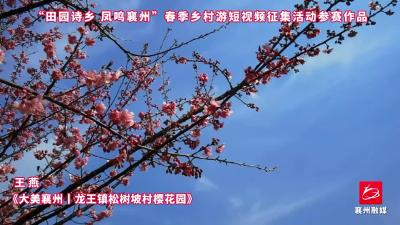 作品选登，活动征稿进行中，欢迎投稿~2