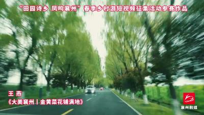 作品选登，活动征稿进行中，欢迎投稿~10