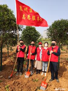水利青年义务植树 助力襄州绿色崛起