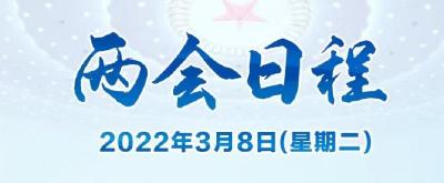 两会日程丨3月8日：全国人代会举行第二次全体会议 听取全国人大常委会工作报告和“两高”工作报