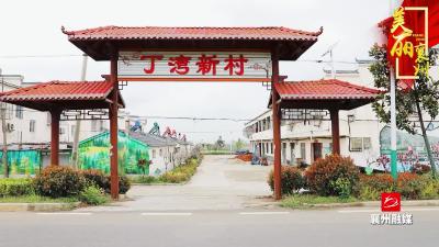 黄龙镇丁湾村：倾情帮扶促发展 美丽乡村更宜居