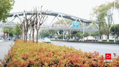 20日通行！又一利民工程即将完工