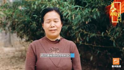 双沟：“脏乱差”变生态公园，人居环境整治显成效