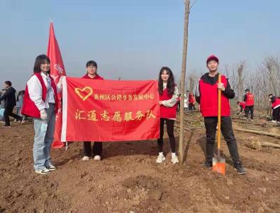 襄州公路中心青年志愿者参加“喜迎二十大 共植青年林”活动