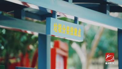 《践行公民生态环境行为规范，你做到了吗？》分类投放垃圾