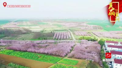 “花”点时间游襄州：2022襄州区乡村游，启动！