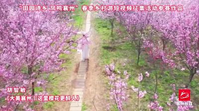 作品选登，活动征稿进行中，欢迎投稿~8