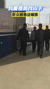 襄州公安：山羊出走，民警来帮忙