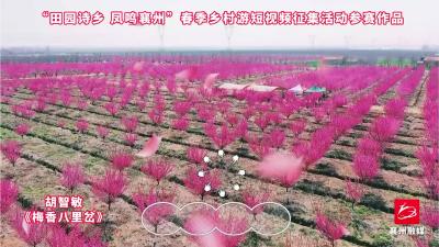 作品选登，活动征稿进行中，欢迎投稿