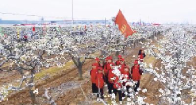 盛世梨花颂小康：红歌响彻梨花园