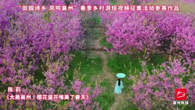 作品选登，活动征稿进行中，欢迎投稿