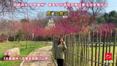 作品选登，活动征稿进行中，欢迎投稿~4