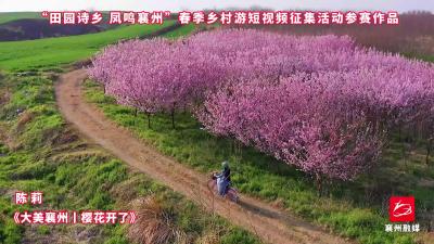 作品选登，活动征稿进行中，欢迎投稿
