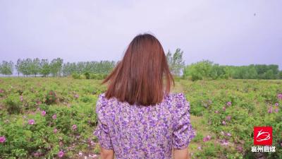 我在粉红色的浪漫里，等你