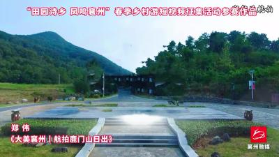 作品选登，活动征稿进行中，欢迎投稿