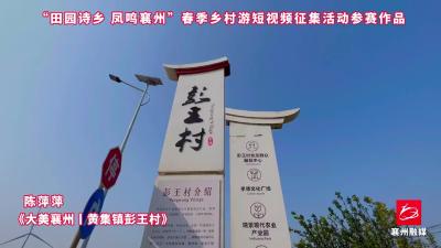 作品选登，活动征稿进行中，欢迎投稿~15