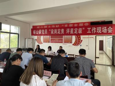 （今日已发）党员设岗定责有责有为，党建工作更加科学规范