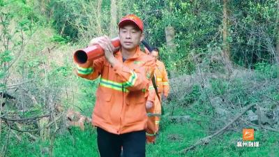 襄州：20.5万亩林地，60名护林员，拧紧春季森林防火“安全阀”
