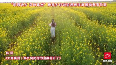 作品选登，活动征稿进行中，欢迎投稿