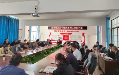 【人大代表在行动】建设“多彩黄集” 人大代表来助力