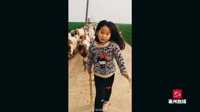 新农人：用镜头展现“牧羊父女”的快乐生活