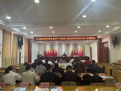 区卫健系统召开安全生产大排查大整治百日攻坚行动工作推进会