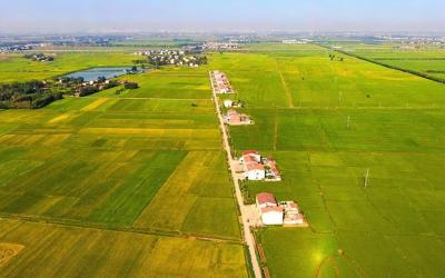 4624万元！襄州区争取2022年高标准农田建设中央和省预算内投资计划