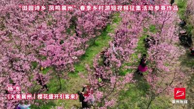 作品选登，活动征稿进行中，欢迎投稿~12
