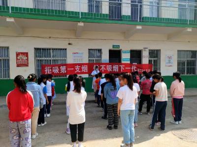 程河镇人大代表组织开展“世界无烟日”宣传活动