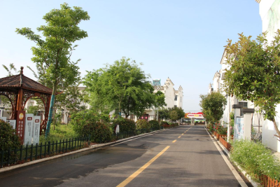 打造绿色循环线  建设生态文明镇