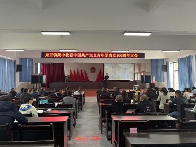 青春向党 奋斗强国