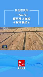 一天2次！襄州再上央视！
