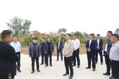 襄州区举办2022年国土绿化现场观摩推进会