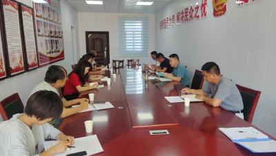 龙王镇人大开展代表主题实践活动培训