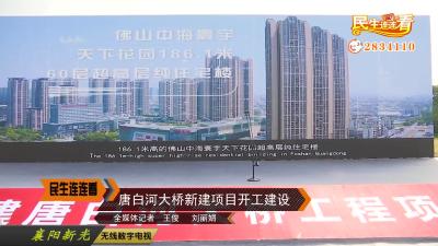唐白河大桥新建项目开工建设