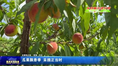 瓜果飘香季  采摘正当时