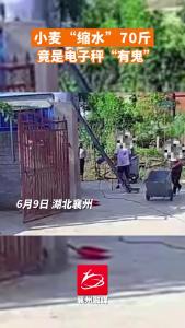 襄州公安侦破一起涉农系列诈骗案，农民卖粮称重一次坑秤70斤